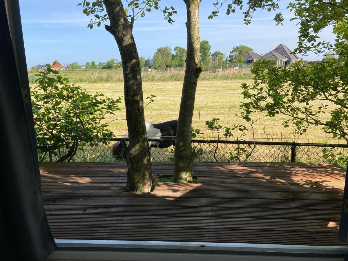 Het Oude Strandhuis Uitgeest Buitenkant foto